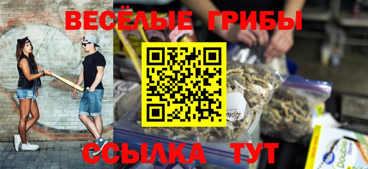 Псилоцибиновые грибы мицелий Солнечногорск