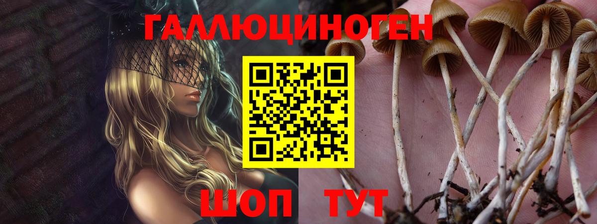 купить наркотики цена  Галлюциногенные грибы мицелий  Вход с VPN  Галлюциногенные грибы Psilocybine cubensis  Солнечногорск 